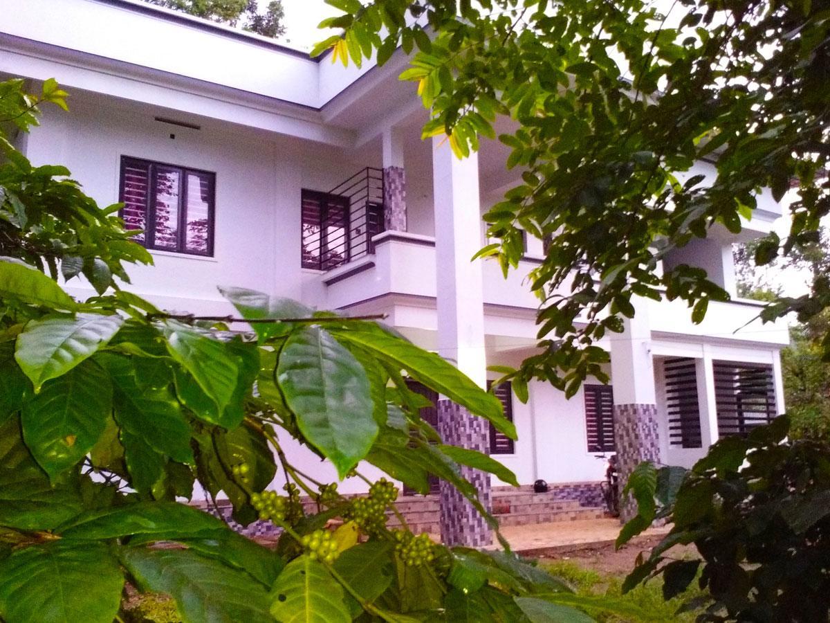 Anizham Jungle Star Thirunelly Bagian luar foto